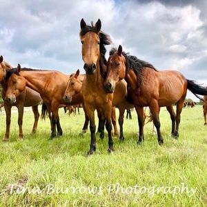 Meet your Posher, Tina